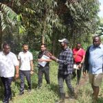 GRO Foundation To Restore Mabira Forest With Millions Of Indigenous Tree Species During Their 1 Billion Trees Global Campaign
