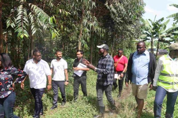 GRO Foundation To Restore Mabira Forest With Millions Of Indigenous Tree Species During Their 1 Billion Trees Global Campaign